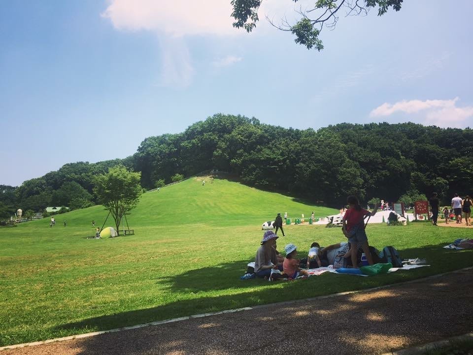 🌳 어린이의 나라(코도모노쿠니)